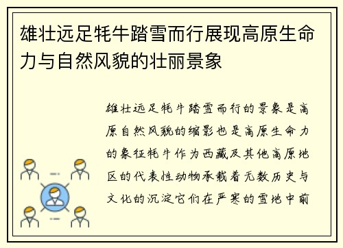 雄壮远足牦牛踏雪而行展现高原生命力与自然风貌的壮丽景象